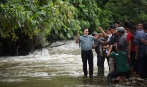 al haris saat panen ikan