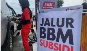 bm subsidi